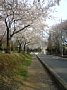 p11231.jpg