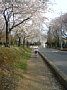 p11232.jpg