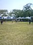 p11240.jpg