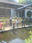 p11243.jpg