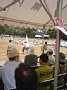 p11382.jpg