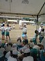 p11386.jpg