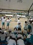 p11387.jpg