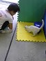 p11404.jpg