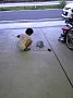 p11415.jpg