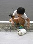 p11420.jpg