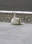 p11423.jpg
