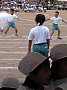 p11434.jpg