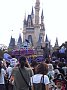 p11458.jpg