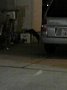 p11467.jpg