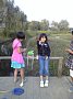 p11493.jpg