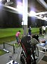 p11517.jpg