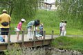 p11564.jpg