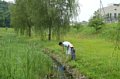 p11570.jpg