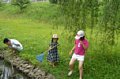 p11575.jpg