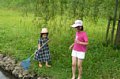 p11576.jpg