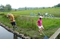 p11579.jpg