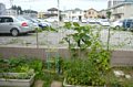 p11581.jpg
