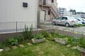 p11582.jpg