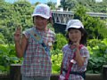 p11593.jpg