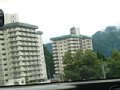 p11618.jpg