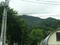 p11638.jpg
