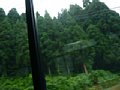 p11643.jpg