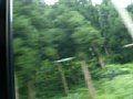 p11644.jpg