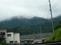p11646.jpg