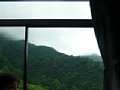 p11653.jpg