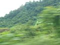 p11657.jpg