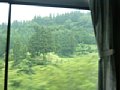 p11677.jpg