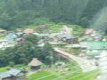 p11684.jpg