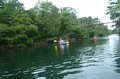 p11742.jpg