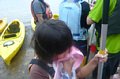 p11751.jpg