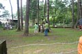 p11803.jpg