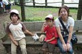 p11808.jpg