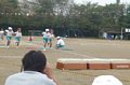 p11879.jpg