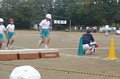 p11880.jpg
