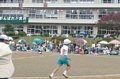 p11881.jpg