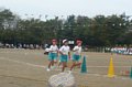 p11882.jpg