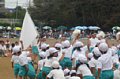 p11883.jpg