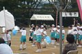 p11886.jpg