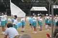 p11887.jpg
