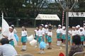 p11888.jpg