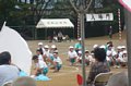 p11889.jpg