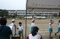 p11895.jpg
