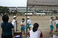 p11897.jpg