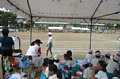 p11901.jpg