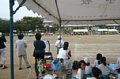 p11903.jpg